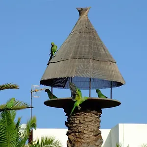 La Kasita In Primavera , Costa Del Silencio Espagne
